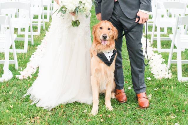 Paige & Josh's wedding 2