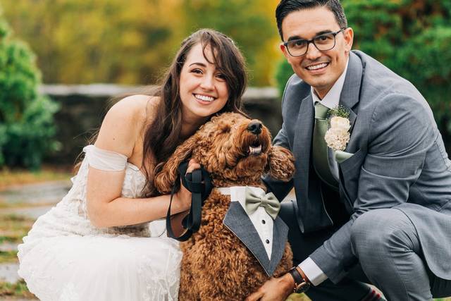 Kristina & Pedro's wedding 1