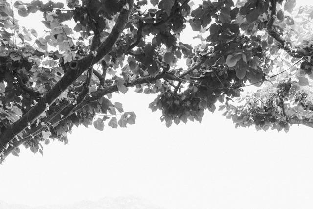 Isabella & Nathan's wedding 2