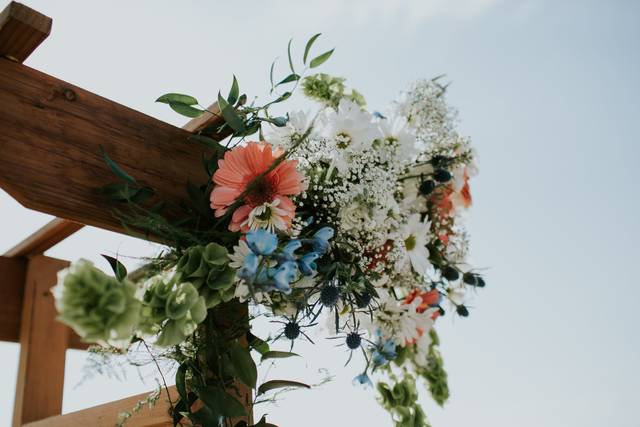 The wedding of Austin and Veronica 2