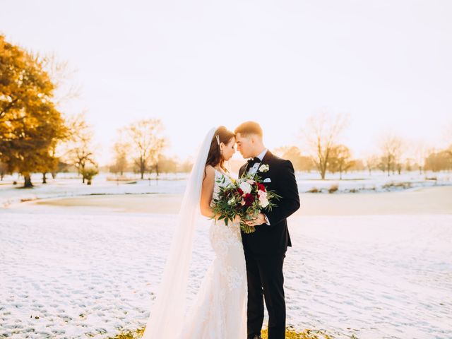 Tyler and Katelyn&apos;s Wedding in Wheeling, Illinois 10