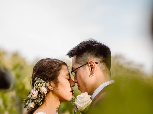 Kiet and Anh&apos;s Wedding in Indianola, Iowa 2