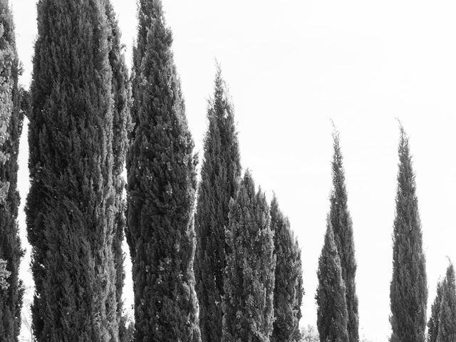 Giarvin and Jasmine's Wedding in San Gimignano, Italy 34