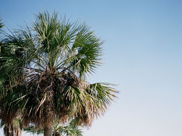 Ryan and Alexis&apos;s Wedding in Mount Pleasant, South Carolina 68