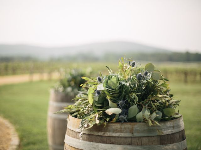 Aaron and Leigh&apos;s Wedding in Charlottesville, Virginia 21