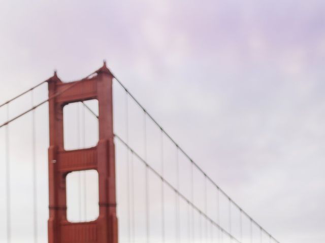 Van and Ryan's Wedding in San Francisco, California 18
