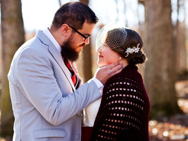 Nick and Courtney&apos;s Wedding in Asheville, North Carolina 11