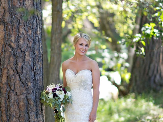 Ally and Nick&apos;s Wedding in Custer, South Dakota 4