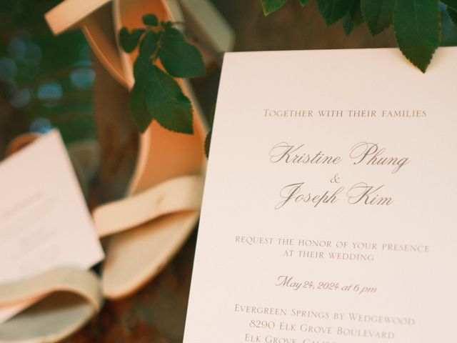 Joe and Christine's Wedding in Sacramento, California 11