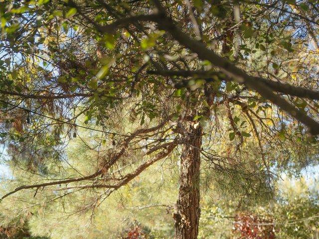 Julio and Maureen's Wedding in Payson, Arizona 7
