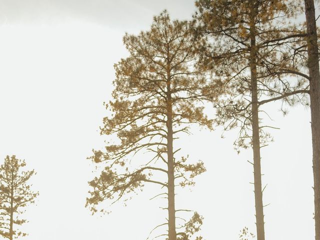 Julio and Maureen's Wedding in Payson, Arizona 13