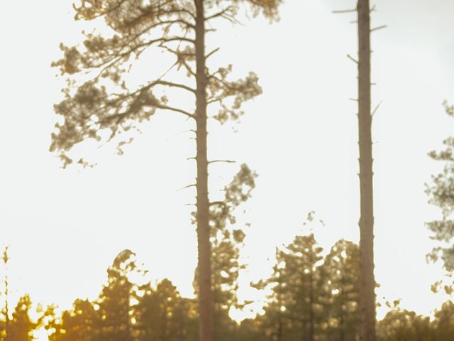 Julio and Maureen's Wedding in Payson, Arizona 1