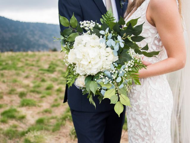 Alex and Haley&apos;s Wedding in Roan Mountain, Tennessee 8