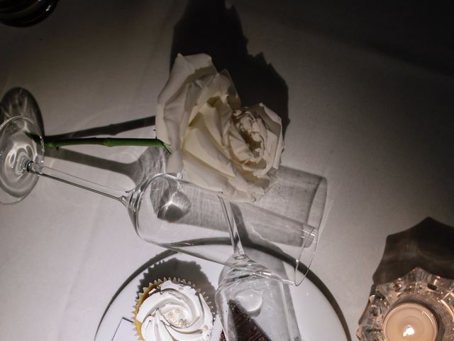 James and Mari's Wedding in Chicago, Illinois 24