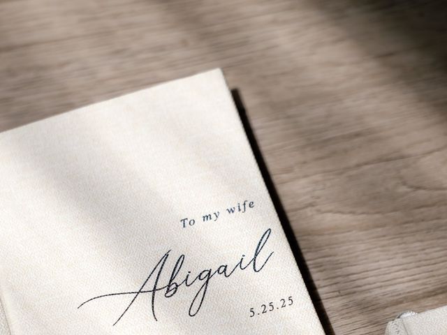 Joe and Abby's Wedding in Naperville, Illinois 13