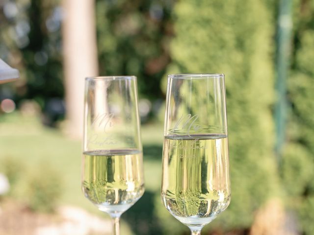Joe and Abby's Wedding in Naperville, Illinois 27