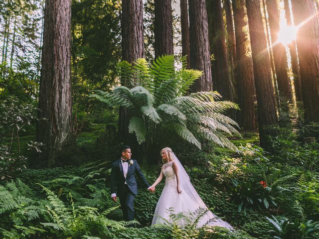 Naomi and Bryan's Wedding in Los Gatos, California 15