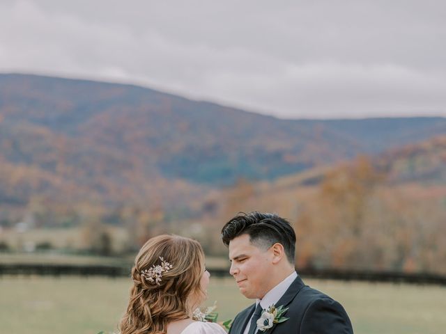 Lindsay and Matthew&apos;s Wedding in Crozet, Virginia 11