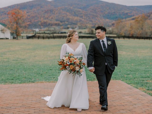 Lindsay and Matthew&apos;s Wedding in Crozet, Virginia 15