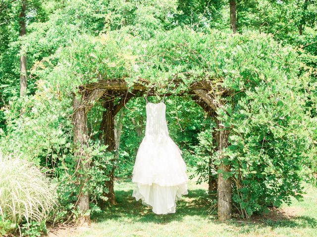 Casey and Alan&apos;s Wedding in Blue Ridge, Virginia 7