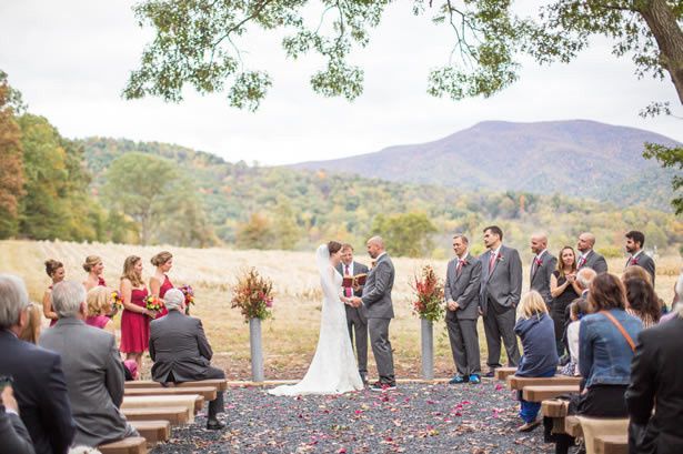 Lindsay and Marty&apos;s Wedding in Stanley, Virginia 14