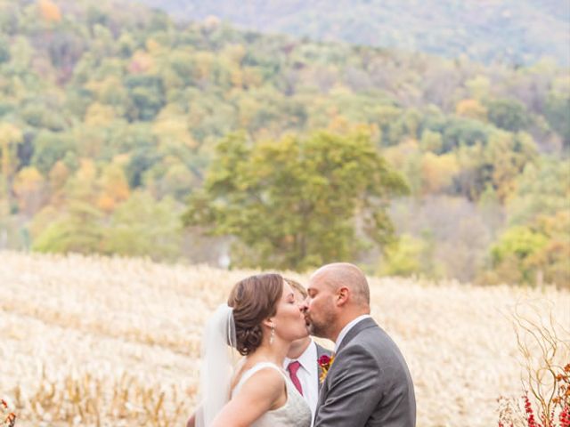 Lindsay and Marty&apos;s Wedding in Stanley, Virginia 16