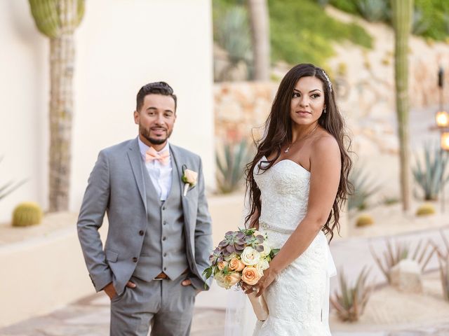 Arturo and Jessica&apos;s Wedding in Cabo San Lucas, Mexico 98