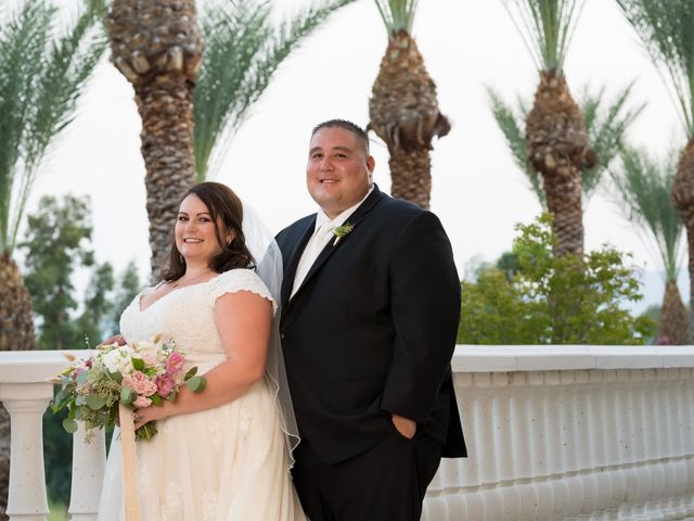 Sean and Amy&apos;s Wedding in Tucson, Arizona 18