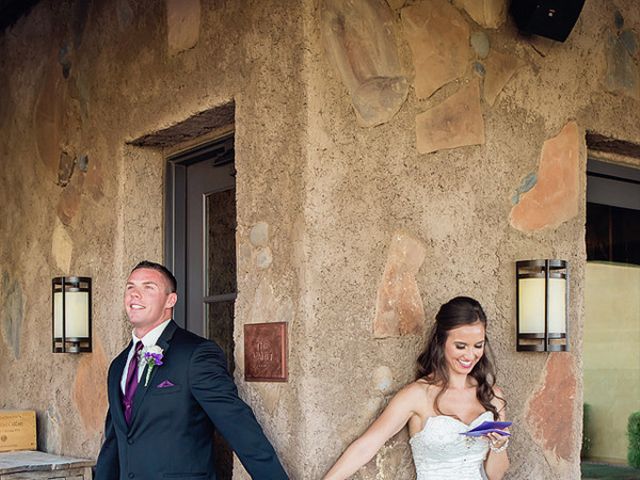 Elena and Matt&apos;s Wedding in San Tan Valley, Arizona 11