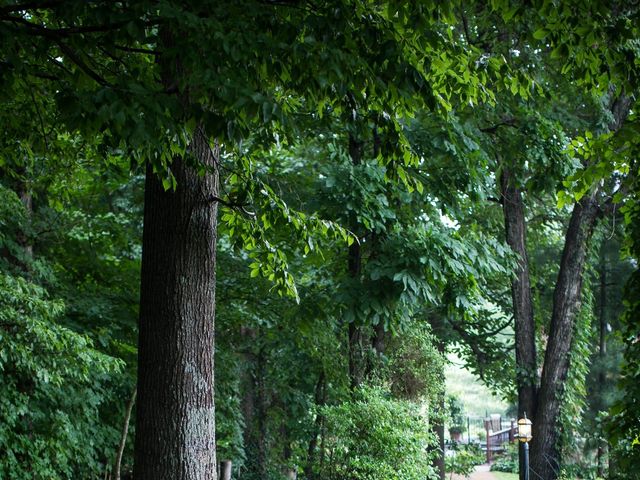 Drew and Talya&apos;s Wedding in Jonesborough, Tennessee 3