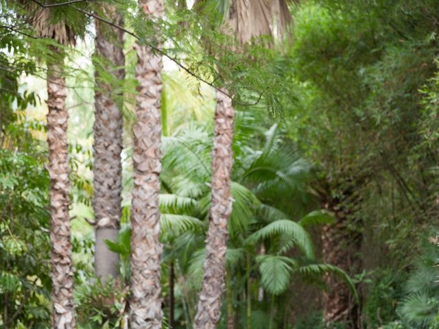 Fabian and Rosa&apos;s Wedding in Fallbrook, California 50