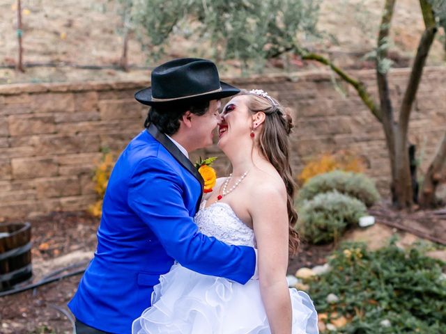 Justin and Ciara&apos;s Wedding in Paso Robles, California 65