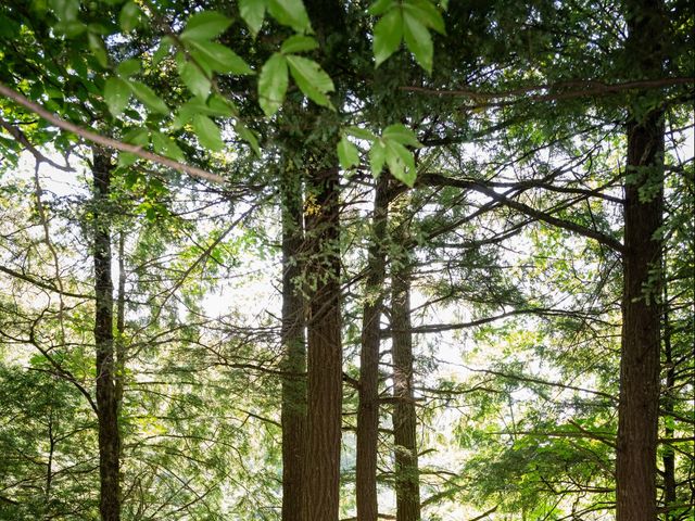 Stephanie and Dan's Wedding in Manlius, New York 20