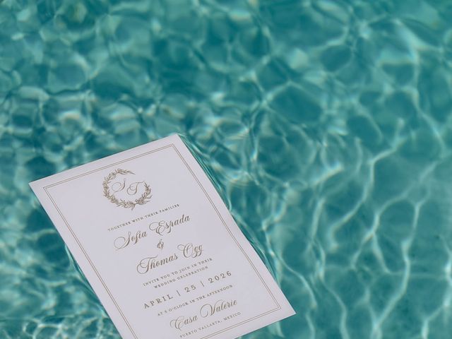 Thomas and Sofia's Wedding in Puerto Vallarta, Mexico 18