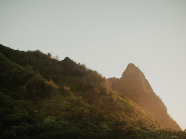 Amber and Nick&apos;s Wedding in Lihue, Hawaii 28