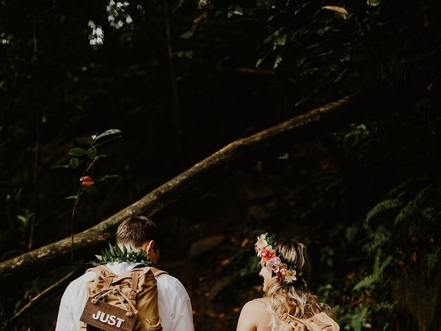 Amber and Nick&apos;s Wedding in Lihue, Hawaii 47