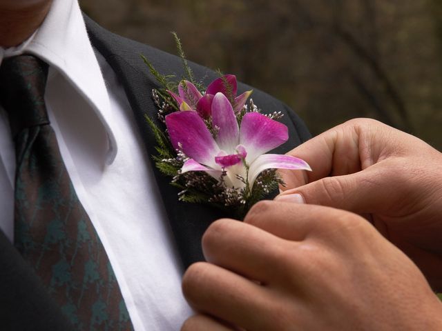 Jeff and Linda's Wedding in Yosemite National Park, California 10