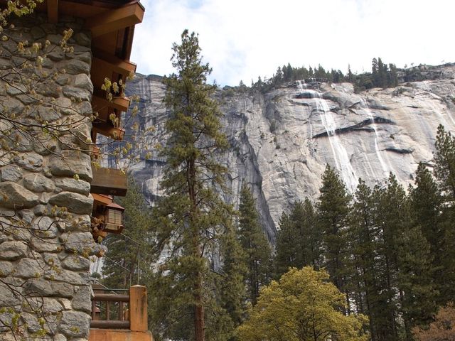 Jeff and Linda's Wedding in Yosemite National Park, California 13