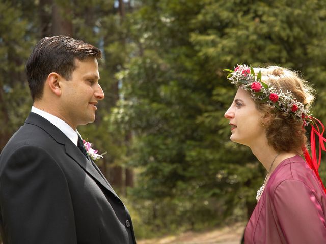 Jeff and Linda's Wedding in Yosemite National Park, California 26