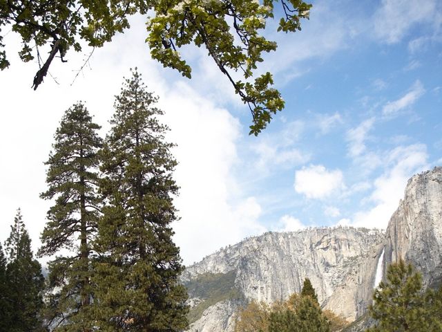 Jeff and Linda's Wedding in Yosemite National Park, California 31