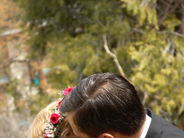 Jeff and Linda's Wedding in Yosemite National Park, California 32