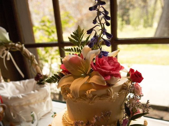 Jeff and Linda's Wedding in Yosemite National Park, California 57
