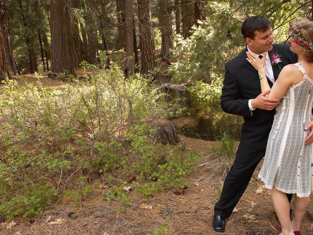 Jeff and Linda's Wedding in Yosemite National Park, California 70