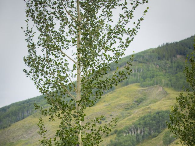 Becky and Weston&apos;s Wedding in Crested Butte, Colorado 22