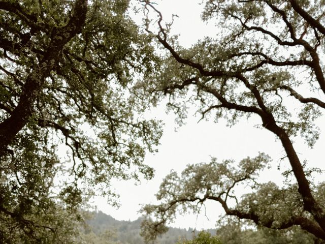 William and Bethany's Wedding in Saint Helena, California 1