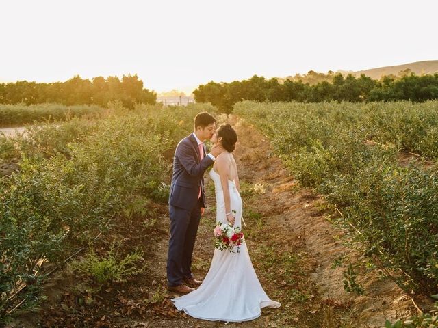 Annie and Brian&apos;s Wedding in Camarillo, California 15