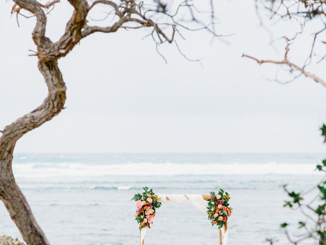 Robert and Vanessa&apos;s Wedding in Kahuku, Hawaii 13
