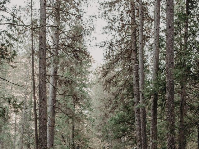 Veronica and Roxane&apos;s Wedding in Yosemite National Park, California 6