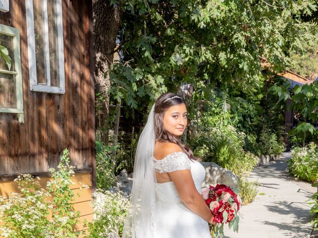 Hailee and Benjamin&apos;s Wedding in Oak Glen, California 21