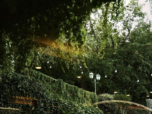 Noemi and Claudio's Wedding in Bryce, Utah 10